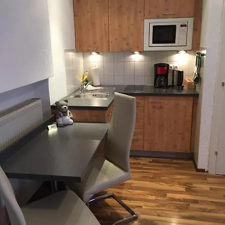 Haus Birnbacher Lejlighed Mühlbach am Hochkönig