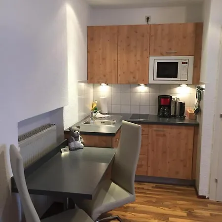 Appartement Haus Birnbacher Mühlbach am Hochkönig