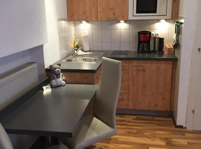 Haus Birnbacher Διαμέρισμα Mühlbach am Hochkönig