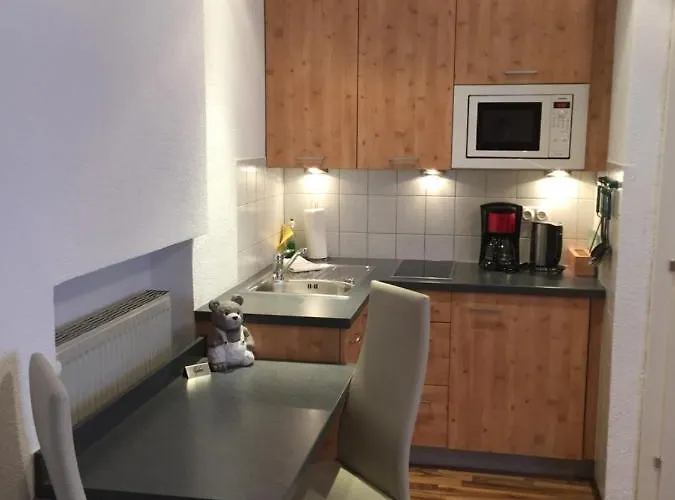 Διαμέρισμα Haus Birnbacher Mühlbach am Hochkönig